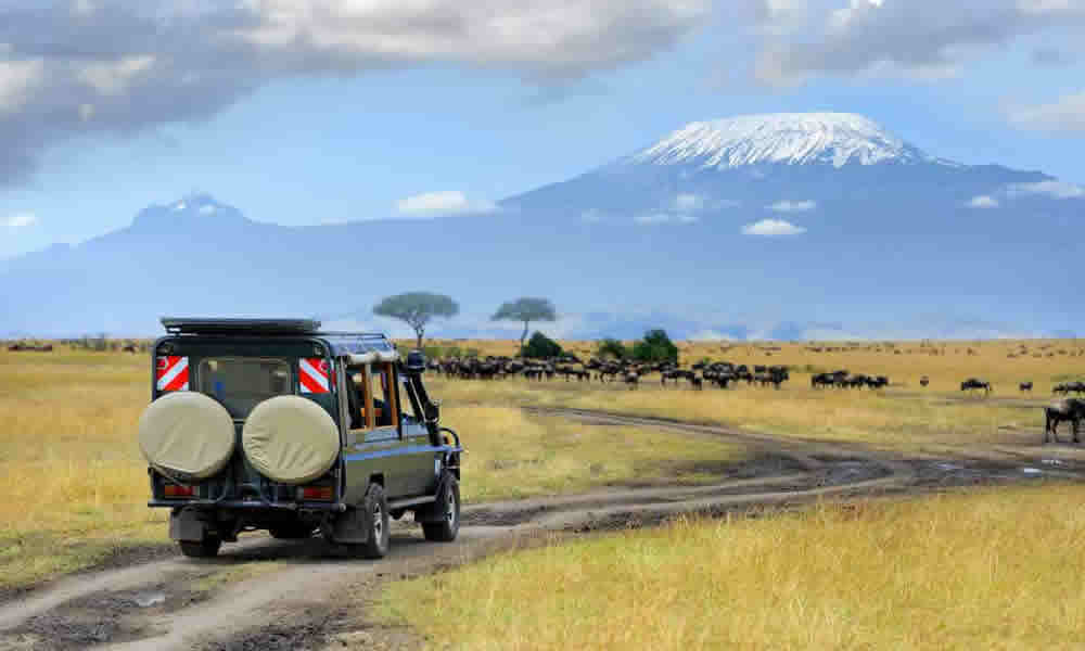 12 Days Kenya Wildlife Safari Amboseli national park