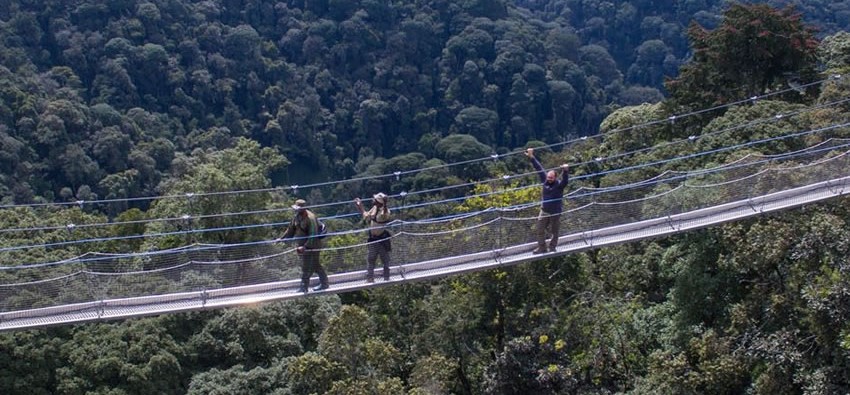 1 Day Nyungwe Canopy Walk